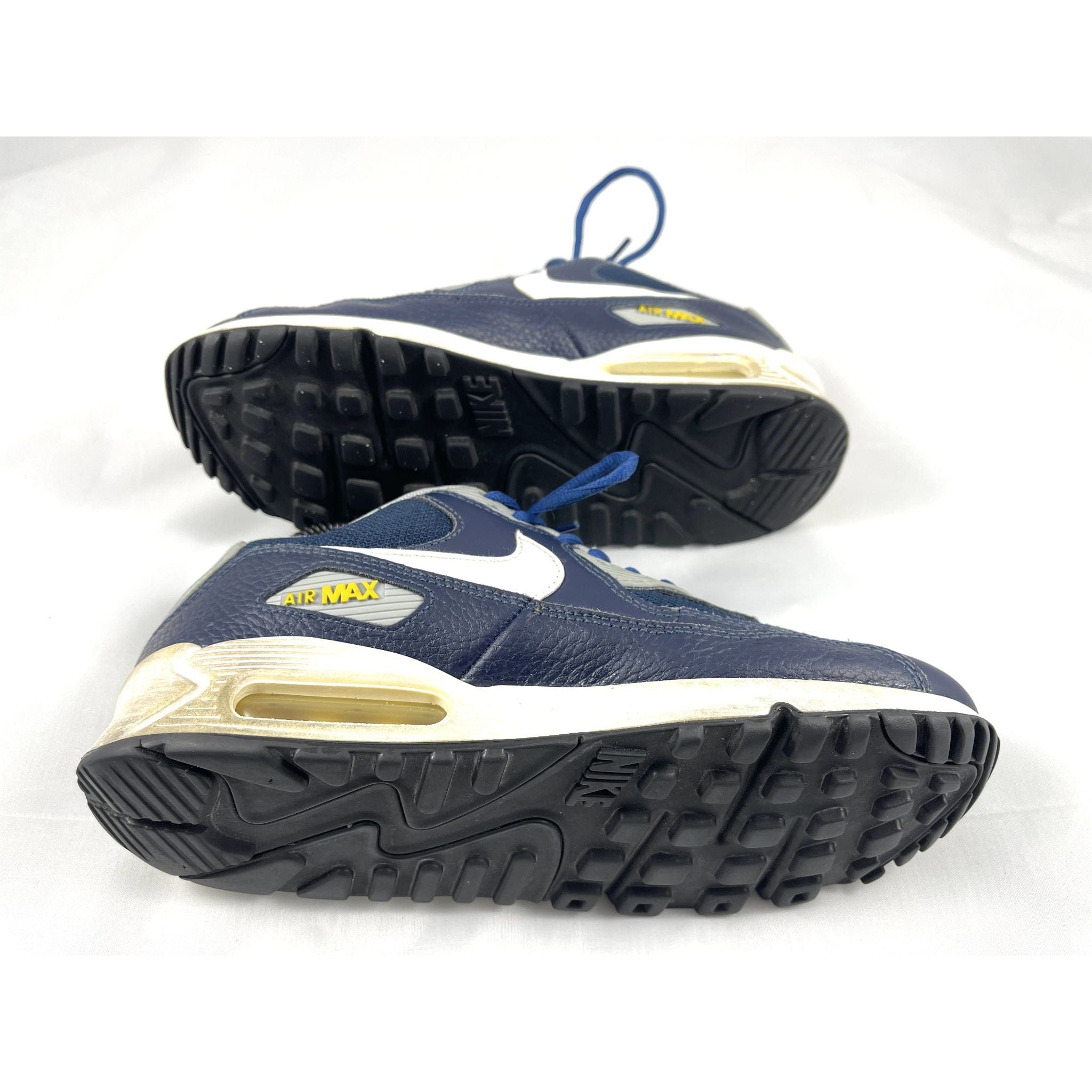 Blue Air Max Sneakers